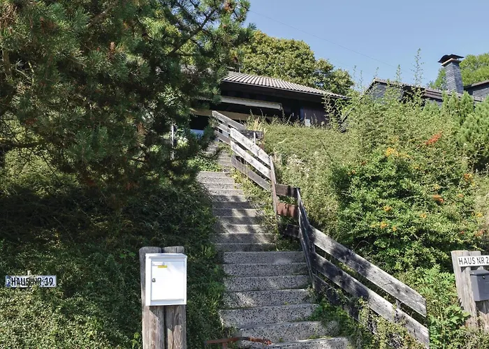 Pet Friendly In Bischofsheim